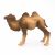Papo Wild Life Bactrische Kameel 50129