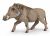 Papo Wild Life Warthog 50180