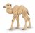 Papo Wild Life camel calf 50221