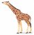 Papo Wild Life Giraf met opgeheven Hoofd 50236