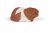 Papo Farm Life Cavia 50276