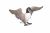 Papo Wild Life Canadese Gans 50277