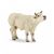 Papo Farm Life Charolais Koe 51158
