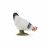 Papo Farm Life Witte Kip Pikkend 51160