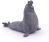 Papo Wild Life Elephant seal 56032 