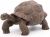 Papo Wild Life Galápagos tortoise 50161