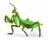 Papo Wild Life Bidsprinkhaan  50244