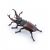 Papo Wild Life Stag beetle 50281