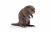 Papo Wild Life Beaver 50110