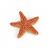 Papo Wild Life Starfish 56050