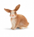 Schleich 13827 Rabbit