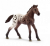 Schleich 13862 Horse Appaloosa, foal
