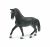 Schleich Horse Club Paard Hannover Merrie exclusief 72135 
