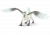 Schleich Eldrador 70143 Ice Griffin