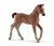 Schleich 13818 horse Hanoverian foal