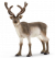 Schleich Wild Life 14837 Reindeer