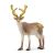 Schleich Wild Life reindeer 2023 72210 Exclusive