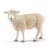Schleich Farm World Schaap 13882 