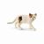 Schleich Farm World 13894 American shorthair cat