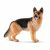 Schleich 16831 German Shepherd