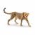 Schleich 14746 Cheetah, female