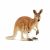Schleich 14756 Kangaroo
