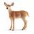 Schleich Wild Life Witstaarthert hinde 14819 