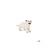 Papo Wild Life Witte Leeuwenwelp 50076