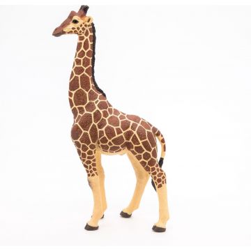 Papo Wild Life Giraffe Male 50149