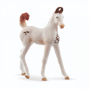 Schleich Horse Club Marwari foal 14896