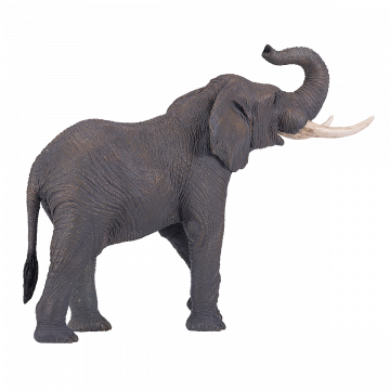Mojo Wild Life African Elephant 381005