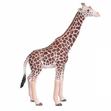 Mojo Wild Life Giraffe Male 381008