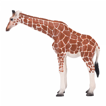 Mojo Wild Life Giraffe Female 381033
