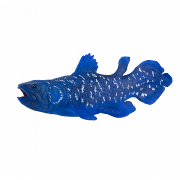 Mojo Sea Life Coelacanth 381050