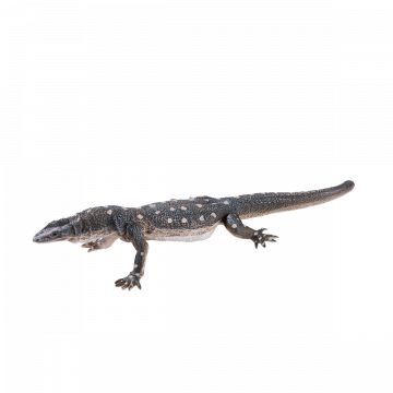 Mojo Wild Life Perentile Lizard 381061