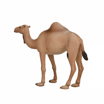 Mojo Wild Life Arabian Camel 387113