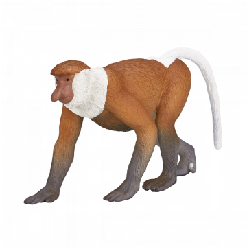 Mojo Wild Life  Proboscis Monkey 387176