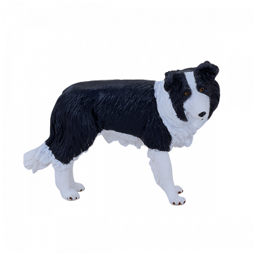 Mojo Farmland Border Collie 387203