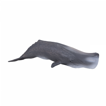 Mojo Sea Life Sperm Whale 387210