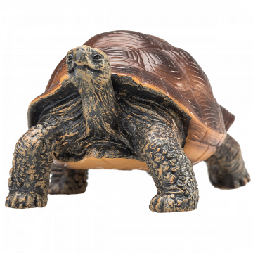 Mojo Wild Life Giant Tortoise 387259