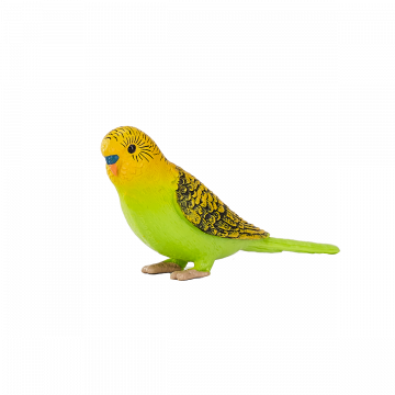 Mojo Farmland Green Budgerigar 387262