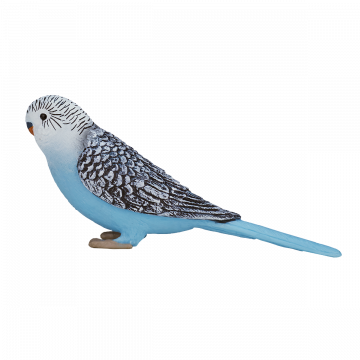Mojo Farmland Blue Budgerigar 387292