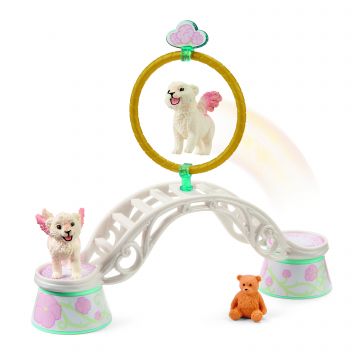 Schleich Bayala Training for winged baby lions 42524
