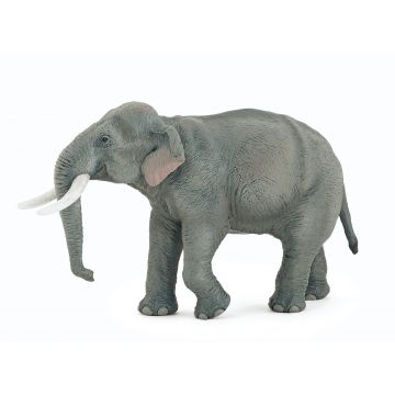 Papo Wild Life Asian Elephant 50131