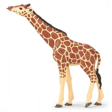 Papo Wild Life Giraffe with Head Raised 50236