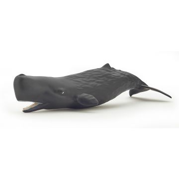 Papo Wild Life Sperm whale calf 56045