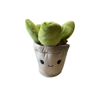 Take Me Home plant plush Lard Plant 19-27cm 660543