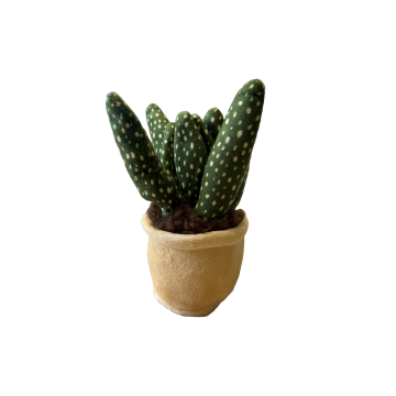 Take Me Home plant plush Aloe Vera 12-17cm 660572