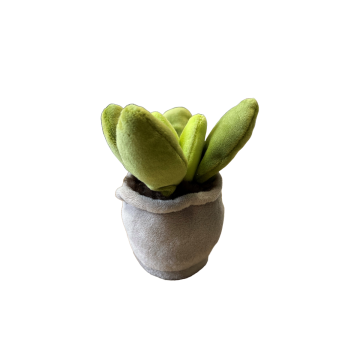 Take Me Home plant plush Lard Plant 12-17cm 660572