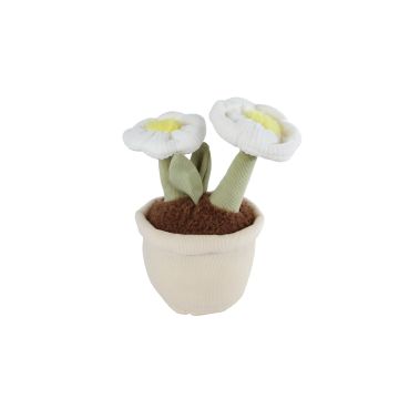 Take Me Home Desert Plant Plush L 2x Flower 25 cm 661164